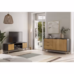 Altobuy - vikov - Meuble tv 140cm 2 Portes Scandinave en Pin Massif Ciré - Naturel