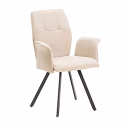 Altobuy 3663738597890 fauteuil
