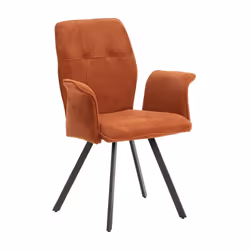 Altobuy 3663738597906 fauteuil