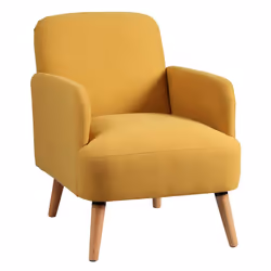 Altobuy 3663738802475, Fauteuil, Tissu, Teodore, 630 mm, 750 mm, 790 mm
