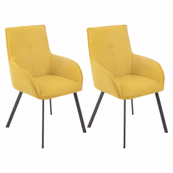 Altobuy 3663738805315, Fauteuil, Polyester, Catila, 580 mm, 620 mm, 910 mm