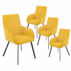 Altobuy 3663738805902, Fauteuil, Polyester, Catila, 580 mm, 620 mm, 910 mm