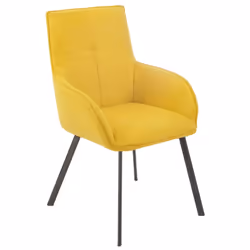 Altobuy 3663738805902 fauteuil