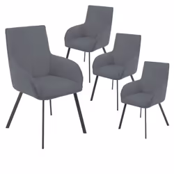 Altobuy 3663738805919, Fauteuil, Polyester, Catila, 580 mm, 620 mm, 910 mm
