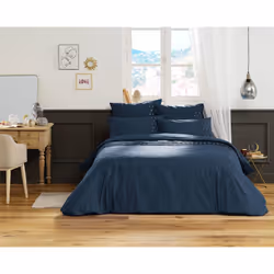 Altobuy 3663738808286 Taie d'oreiller Bleu 50 x 70 cm Coton