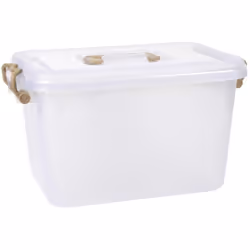 Boîte de Rangement Plastique 10L