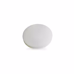 Filtre primaire mousse rond pour Aspirateur. Référence de la pièce : 1401515500, Marque : NILFISK ADVANCE.