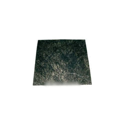 Filtre protection moteur pour Aspirateur Bosch 00419959