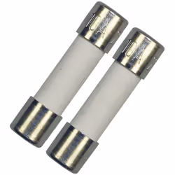Lot de 2 fusibles électriques 10A 5x20mm d'origine pour Four, cuisinière BOSCH, SIEMENS, NEFF 00029469 Appareils compatibles  ...
