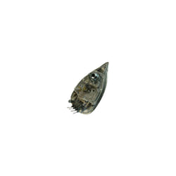 Semelle de fer CS-00130236 ROWENTA