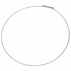 Cercle avec ressort d'origine pour lave-linge LG ACA72969501 Appareils compatibles : [MACHINE À LAVER, LAVE-LINGE LG: ] F1447 ...