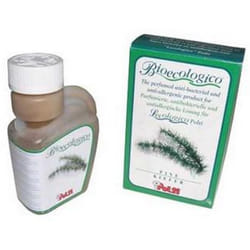 Bactéricide parfum pin