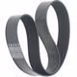 Courroie - ELECTROLUX - Cireuse - Largeur 30mm - Accessoire Compatible - Mixte