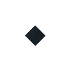 Filtre devant d'origine Aspirateur 00419959 BOSCH