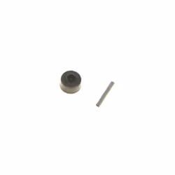 Roulette + axe pour Aspirateur. Référence de la pièce : RS-2230001603, Marque : ROWENTA.