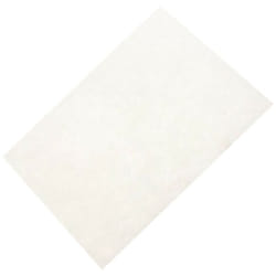 Filtre moteur (432200493931) Aspirateur Philips
