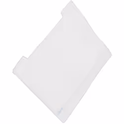 Micro-filtre d'origine pour aspirateur AEG, SINGER, ELECTROLUX, TORNADO 8996680907913 Appareils compatibles : [ASPIRATEUR AEG ...