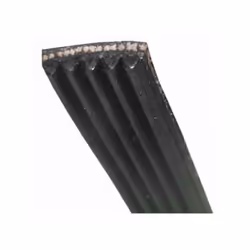 Courroie 1175J5 MAEL pour lave-linge BRANDT, FAGOR, VEDETTE, DE DIETRICH, THOMSON, SANGIORGIO, CAPLE, CDA, CRYSTAL 96X2024 Ap ...