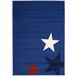 Un Amour De Tapis est une PME française, son entrepôt est en Essonne. tapis enfant 60x110 rectangle tissé bleu AF1 STAR par U ...