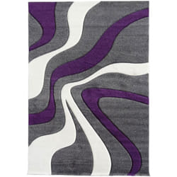 Tapis entrée 40x60 violet rectangle tissé motif rond LYN8