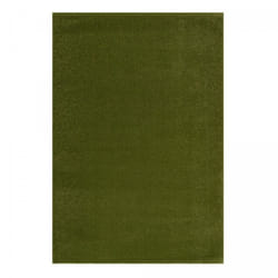 Tapis entrée 60x110 tissé vert rectangle motif uni PAJU