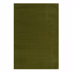 Tapis salon 160x230 tissé vert rectangle motif uni PAJU