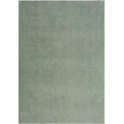 Unamourdetapis - Tapis lavable 30°C 240x340 Vert Clair, tapis shaggy uni à longs poils