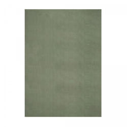 Tapis LYN10 lavable 30°C 60x110 Vert, tapis shaggy uni à longs poils