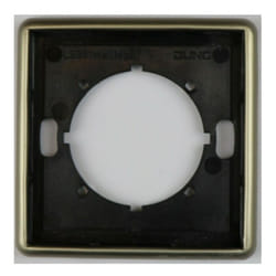 981-354 Cadre montage horizontal/vertical 1 Poste - Or Bronze - LS981Msi,Mb - Jung