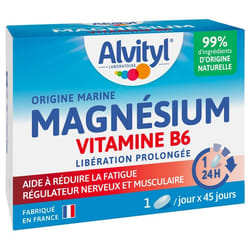 Alvityl Magnésium Vitamine B6 45 Comprimés