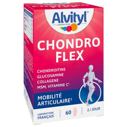 Alvityl Chondro Flex 60 Comprimés