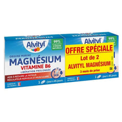 Alvityl Magnésium Vitamine B6 Lot de 2 x 45 Comprimés