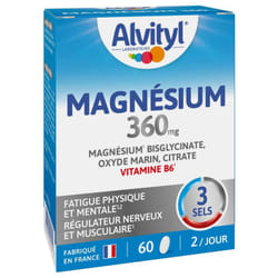 Alvityl Magnésium 360 mg 60 Comprimés