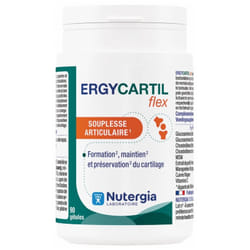 Nutergia Ergycartil Flex 90 Gélules
