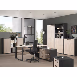 Meublorama NT-CAPO-CAP2C*2C/81KG Armoire de rangement de bureau - Vue supplémentaire 2