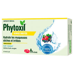 Sanofi Phytoxil Gorge Irritée Fruits Rouges 16 Pastilles