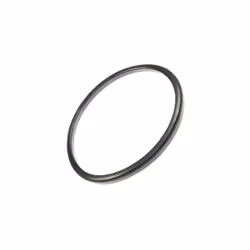 Joint du séparateur pour Aspirateur. Référence de la pièce : RS-RT3870, Marque : ROWENTA.