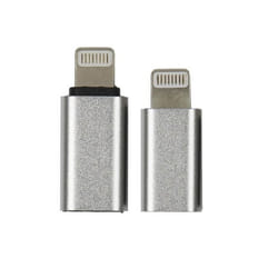 Adaptateurs USB - PARIS PRIX - Lot de 2 - 2 cm - Compatible iPhone/iPad/iPod - Couleur Gris