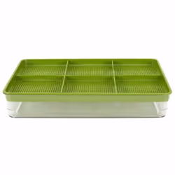 Paris Prix Plateau de Germination Vert - 30 cm
