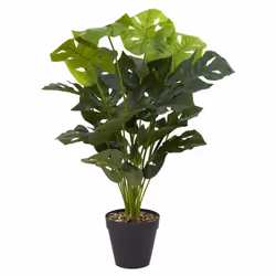 Plante Artificielle Monstrera 80cm Vert