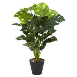 Plante Artificielle Monstrera 80cm Vert