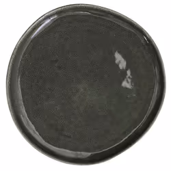 Lot de 6 Assiettes Plates Black Forest 27cm Vert
