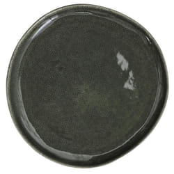 Lot de 6 Assiettes Plates Black Forest 27cm Vert