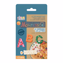 Jeu Éducatif Je Comprends les Lettres 14cm Multicolore