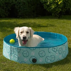 Piscine Pour Chien - The Concept Factory - Pliable - Robuste - Rose Et Bleu