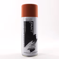 Peinture aérosol Blush Mat