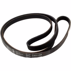 Courroie 1194j5 = 5pj1194 : Courroies pour Lave-linge Indesit, Hotpoint, Bauknecht, Whirlpool, Ariston compatible avec appare ...
