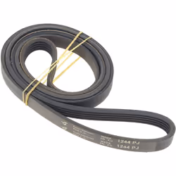 Courroie 1244j5, c00378048, 481935810047 : Courroies pour Lave-linge, Lave-vaisselle Beko, Far, Essentiel b, Continental edis ...