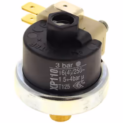 Pressostat 3 bar xp110 : Pressostats pour Centrale vapeur Astoria compatible avec appareils Rc160a, Rc161a, Rc240a, Rc241a pr ...