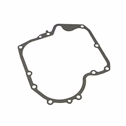 Joint de carter 697110 - moteur de tondeuse briggs & stratton